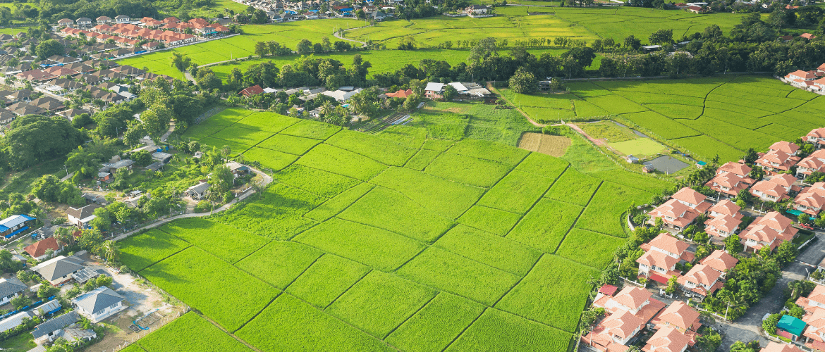 Maison haut de gamme : comment bien choisir son terrain ?