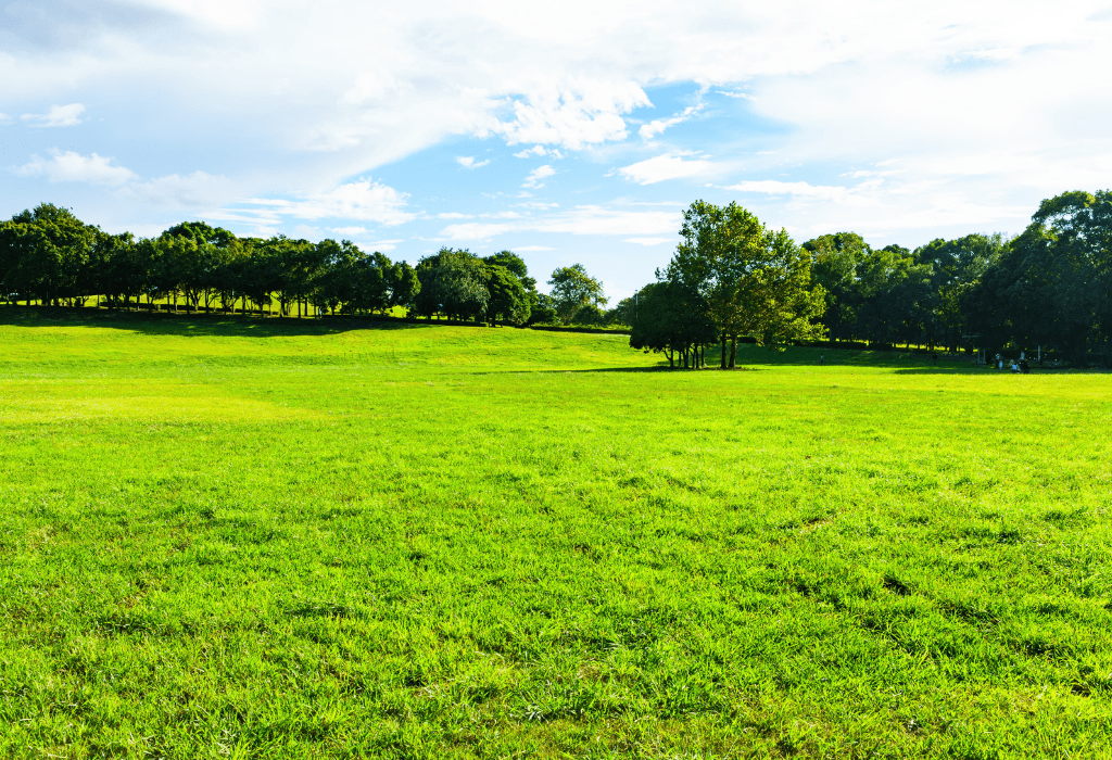 choisir un terrain constructible pour un projet haut de gamme