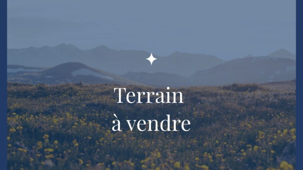 2157048-9575annonce120250517ec65x.jpeg