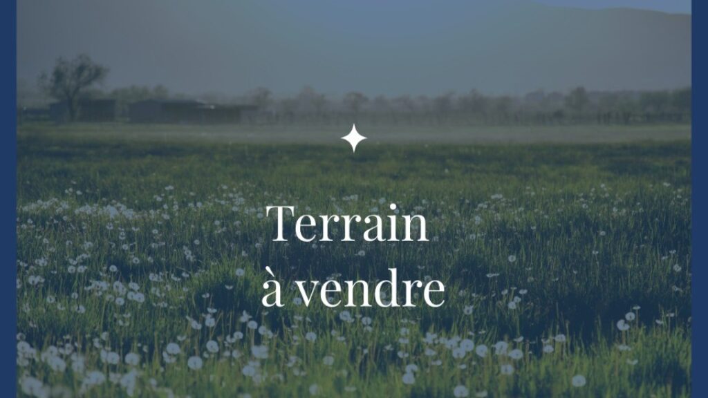 2157059-9575annonce120250514rJOXT.jpeg
