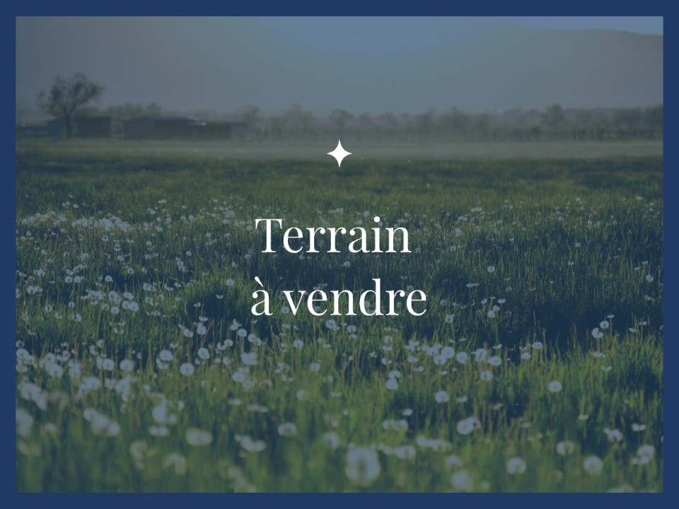 2157059-9575annonce120250514rJOXT.jpeg