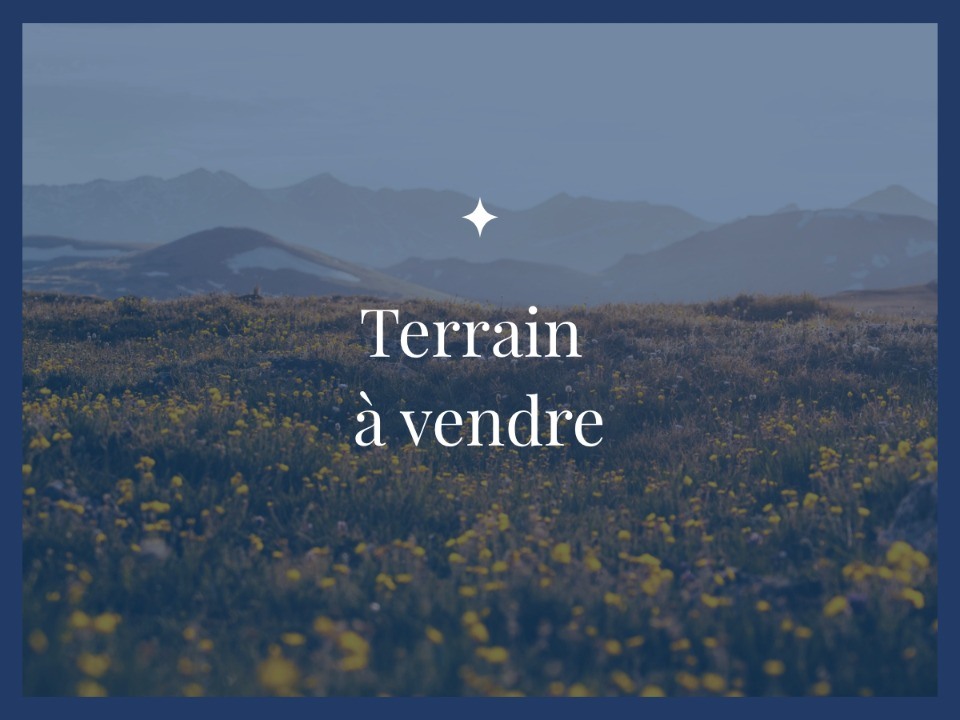 2246698-9575annonce120250517ec65x.jpeg