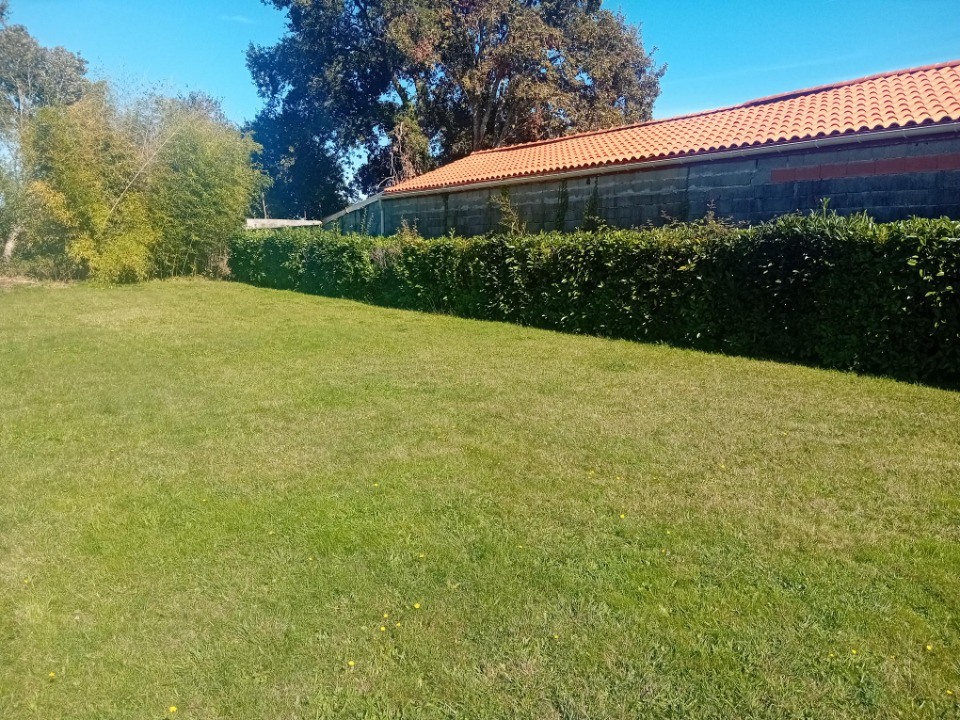 2296607-11244annonce120251007WGhrP.jpeg