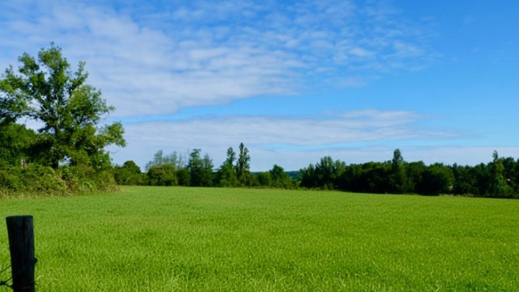 2485063-11686annonce120260415plkJI.jpeg