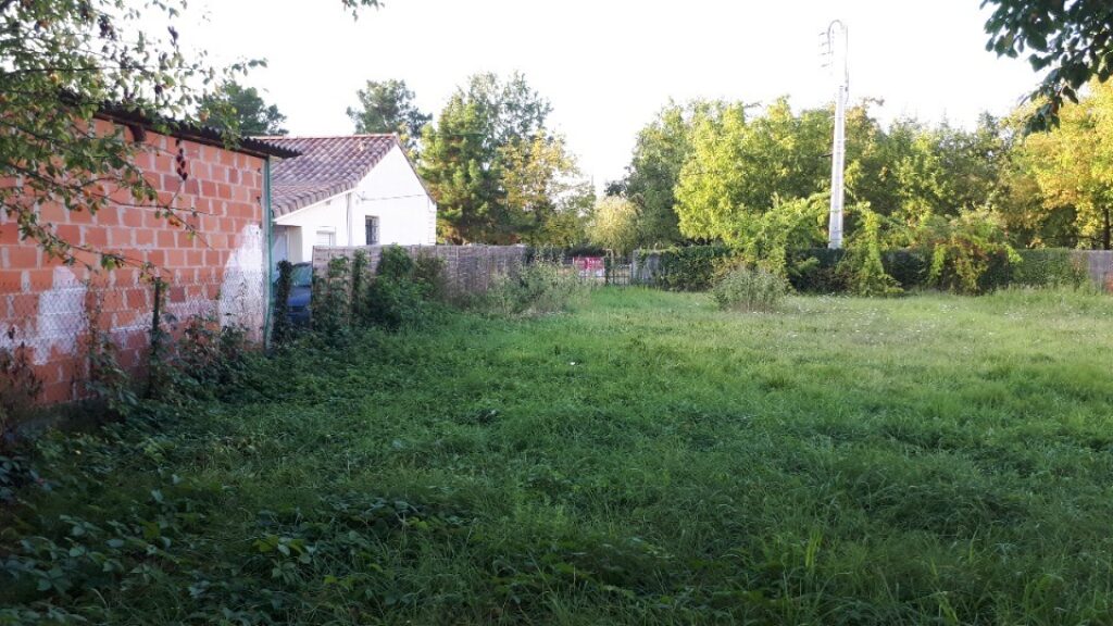 2509684-11151annonce120260513B54pk.jpeg